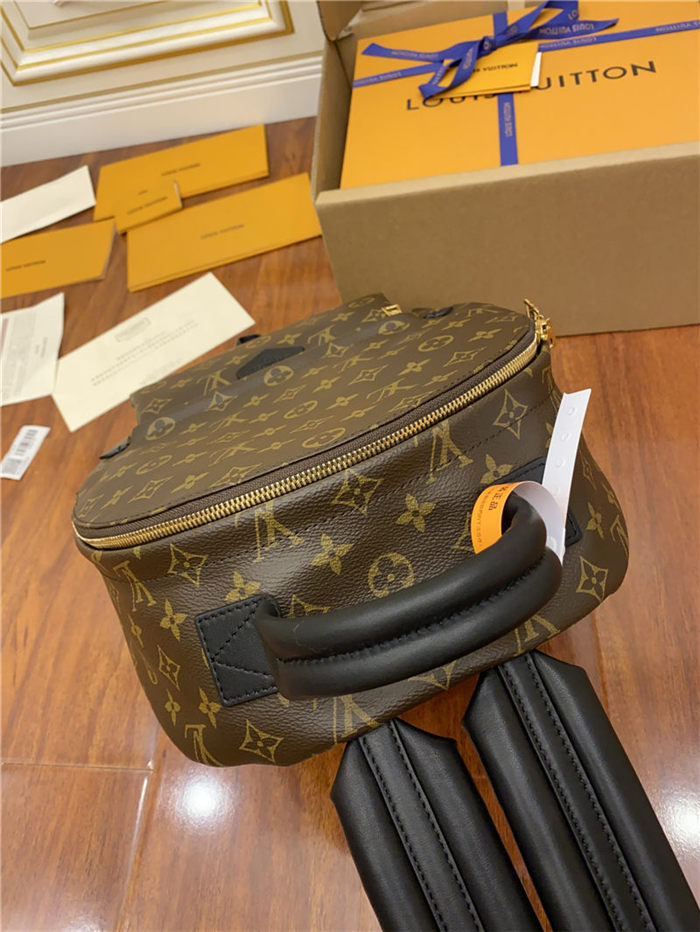 Louis Vuitton Palm Springs MM Backpack M44874 Top