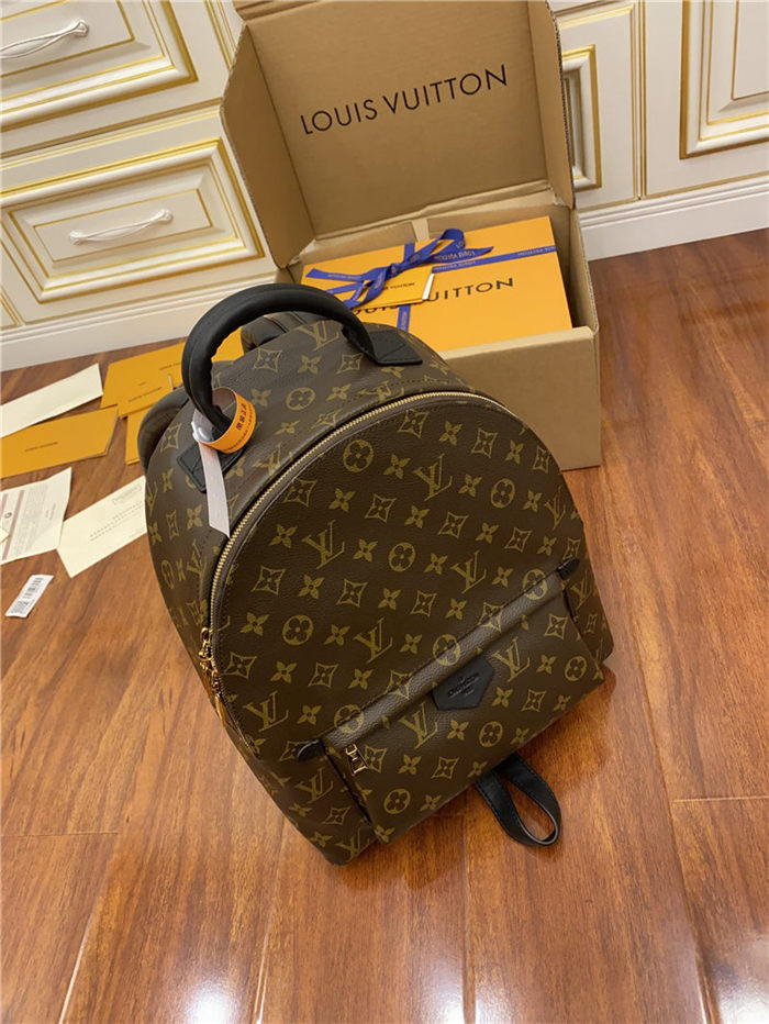 Louis Vuitton Palm Springs MM Backpack M44874 Top