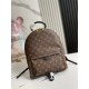 Louis Vuitton Palm Springs MM Backpack M41561 High