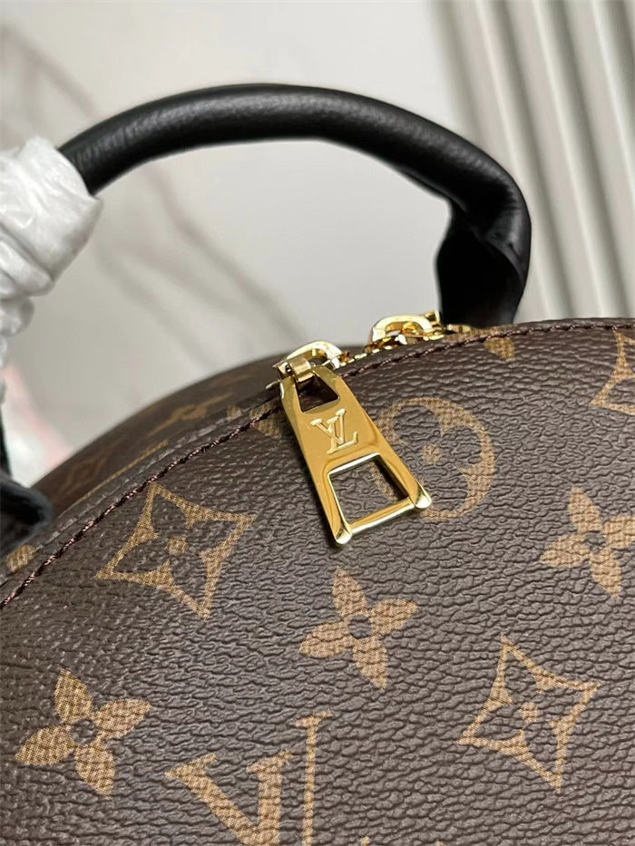 Louis Vuitton Palm Springs MM Backpack M41561 High