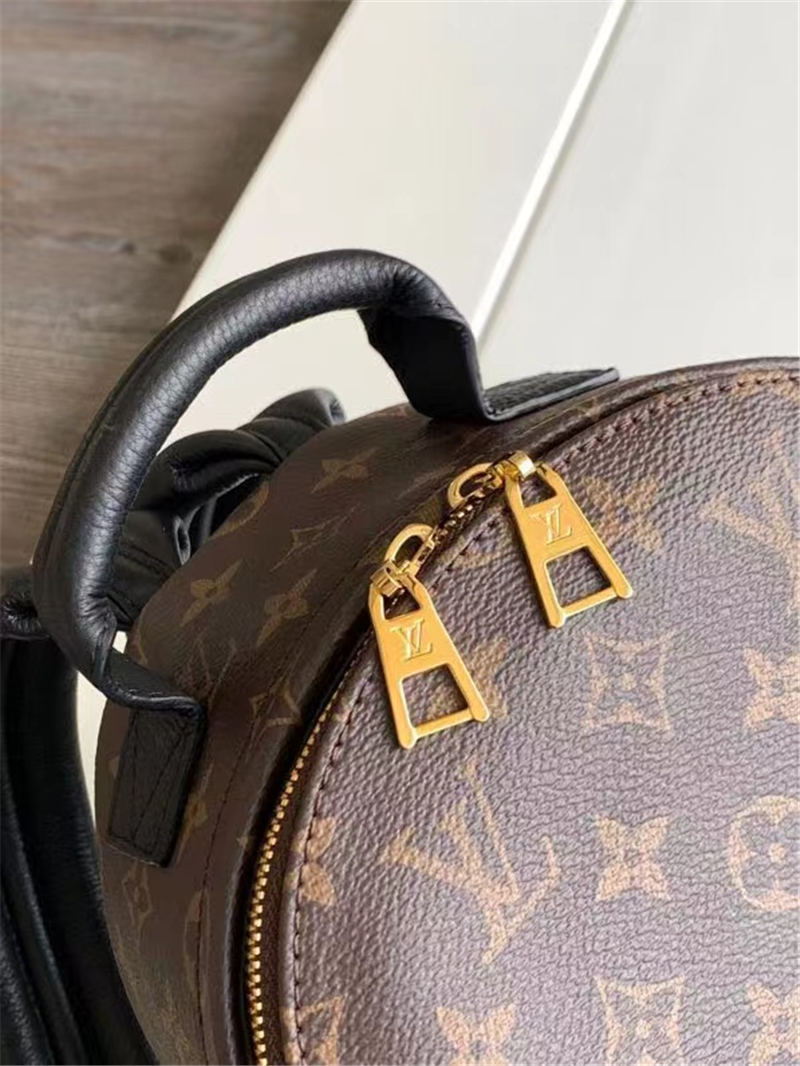 Louis Vuitton Palm Springs PM Backpack Monogram Reverse M43116 High