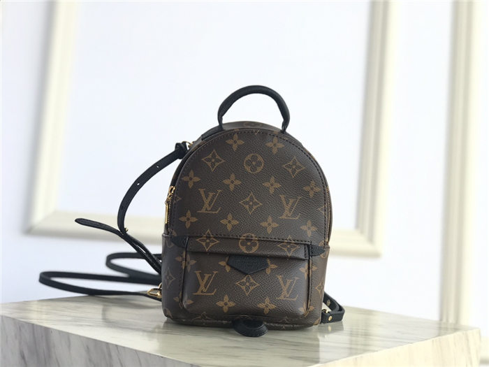 Louis Vuitton Mini Palm Springs Backpack M44873 High