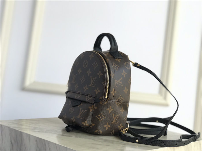 Louis Vuitton Mini Palm Springs Backpack M44873 High