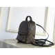 Louis Vuitton Mini Palm Springs Backpack M44873 High