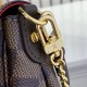 Louis Vuitton Favorite MM Bag Damier Ebene N41129 High