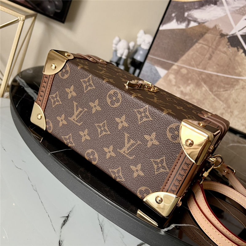 Louis Vuitton COTTEVILLE BOX CASE PM M20211 Monogram High