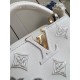 Louis Vuitton Capucines Mini Calfskin leather embroidery White M22922/M22863 High