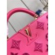 Louis Vuitton Capucines BB Calfskin leather embroidery Pink M22922/M22863 High