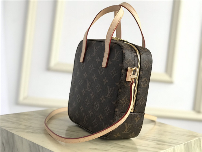 Louis Vuitton Nano Noé Monogram High