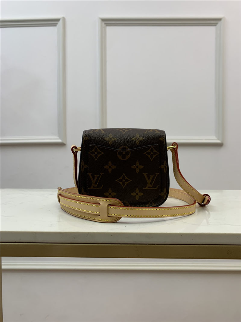 Louis Vuitton SAINT CLOUD MINI Monogram M51245 High