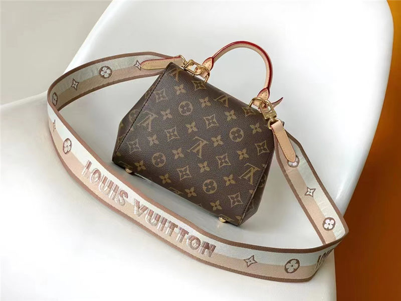 Louis Vuitton CLUNY MINI Monogram coated canvas M46055 High