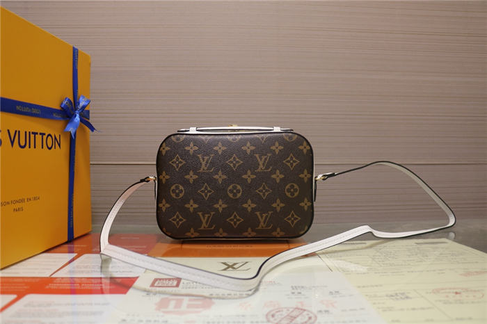 Louis Vuitton Saintonge Bag Monogram White