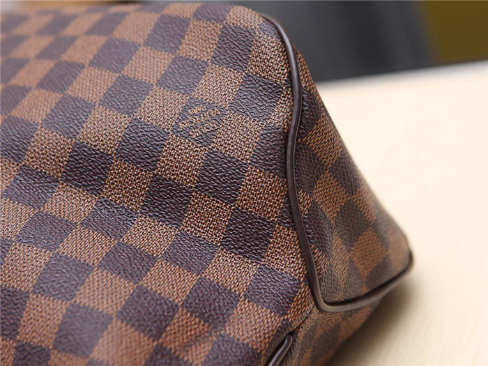 Louis Vuitton Delightful MM Bag Damier Ebene