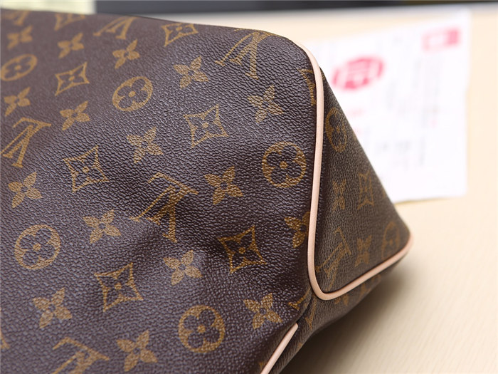 Louis Vuitton Delightful MM Bag Monogram Canvas M50157