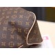 Louis Vuitton Delightful MM Bag Monogram Canvas M50156