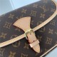 Louis Vuitton SOLOGNE SHOULDER BAG Monogram High