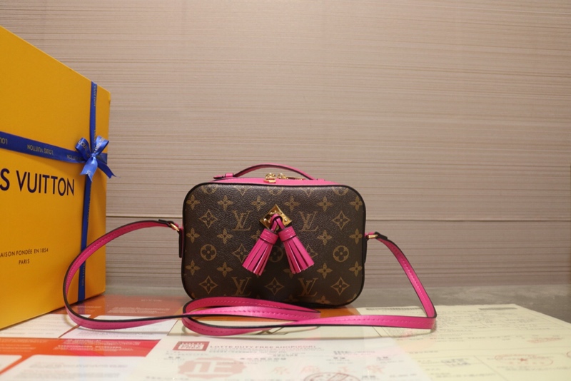 Louis Vuitton Freesia Saintonge Bag Monogram M43557