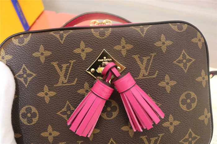 Louis Vuitton Freesia Saintonge Bag Monogram M43557