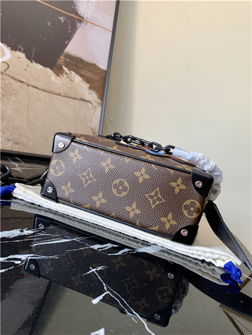 Louis Vuitton MINI SOFT TRUNK Monogram Zoom with friends High