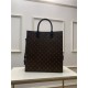 Louis Vuitton SAC PLAT Monogram LV friends High